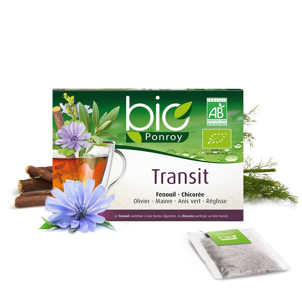 infusion pour digestion difficile infusion pour digestion difficile
